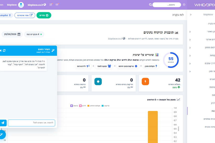 אנליטיקת Whoopix